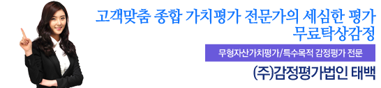 자산의 가치를 속~ 시원하게 풀어드리는 영업권/특허권/상표권 전문 감정평가 감정평가전문법인 ㈜감정평가법인 태백