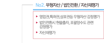 No2. 무형자산 / 법인전환 / 자산재평가